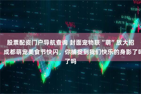 股票配资门户导航查询 封面宠物联“萌”放大招！成都萌宠美食节快闪，你捕捉到我们快乐的身影了吗