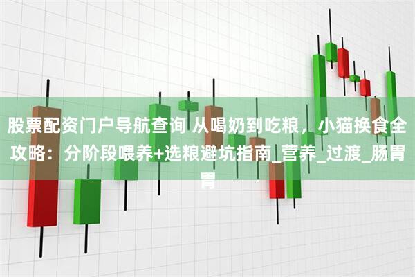 股票配资门户导航查询 从喝奶到吃粮，小猫换食全攻略：分阶段喂养+选粮避坑指南_营养_过渡_肠胃
